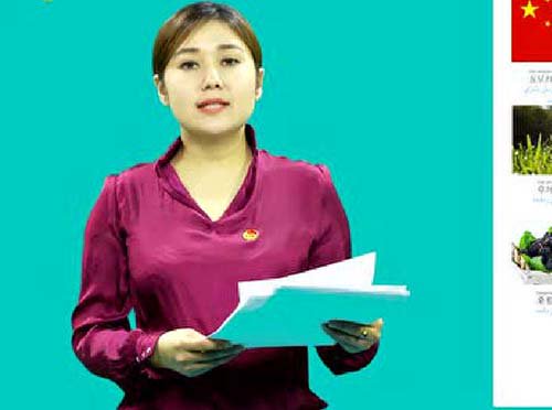 سىزگە خەنزۇتىلى ئۆگىتەي 40-قىسىم