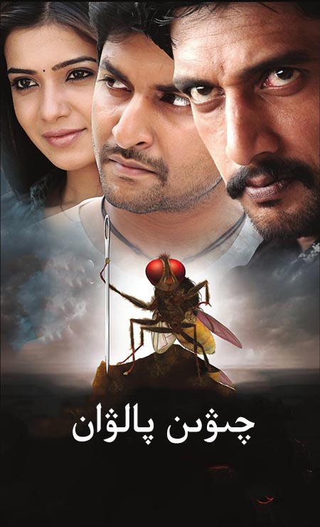 چىۋىن پالۋان