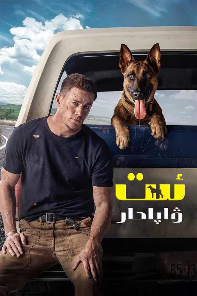 ۋاپادار ئىت