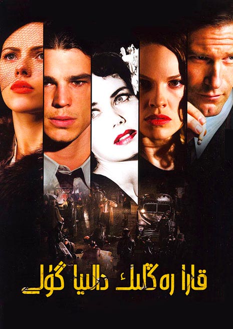 قارا رەڭلىك دالىيا گۈلى