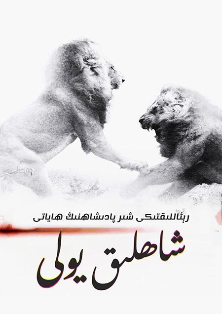 شاھلىق يولى