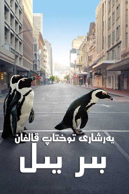 يەر شارى توختاپ قالغان بىر يىل