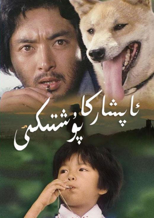 ئاپشاركا پۇشتىكى