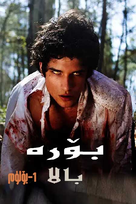 بۆرە بالا 1-بۆلۈم