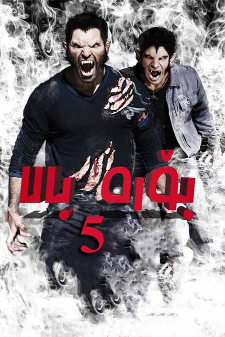 بۆرە بالا 5-بۆلۈم