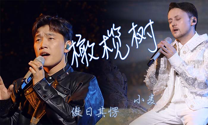 橄榄树-小麦-傲日其愣