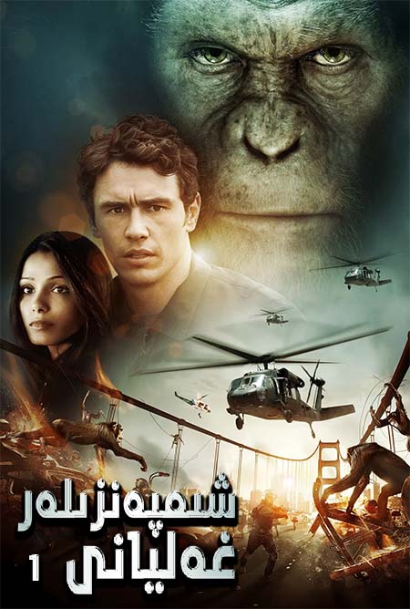 شىمپەنزىلەر غەليانى 1