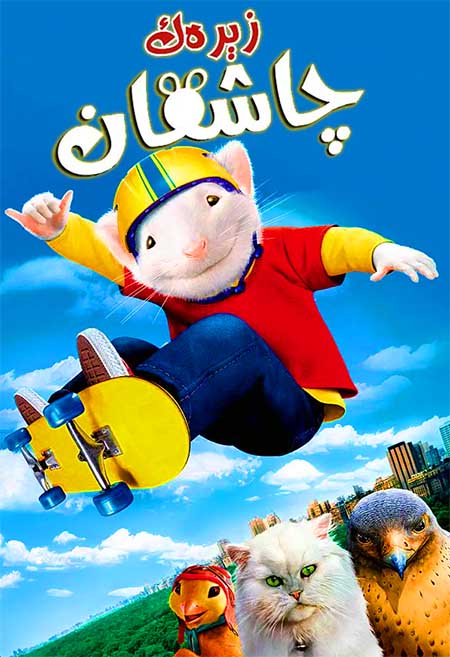 زېرەك چاشقان