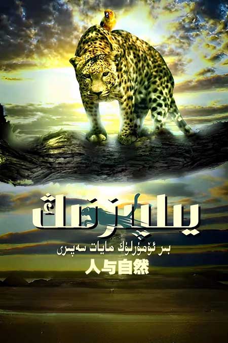 يىلپىزنىڭ بىر ئۆمۈرلۈك ھايات سەپىرى