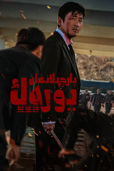 پارچىلانغان يۈرەك