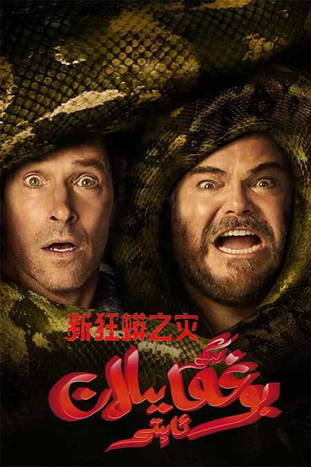 يېڭى بوغما يىلاپ ئاپىتى