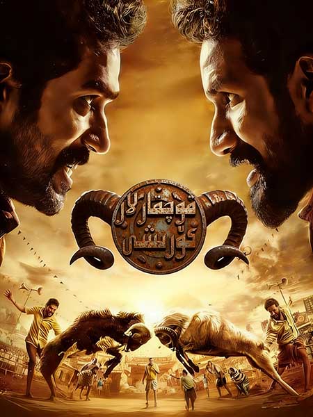 قوچقارلار كۆرىشى