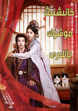 خانىشنىڭ مۈشۈك باللىرى